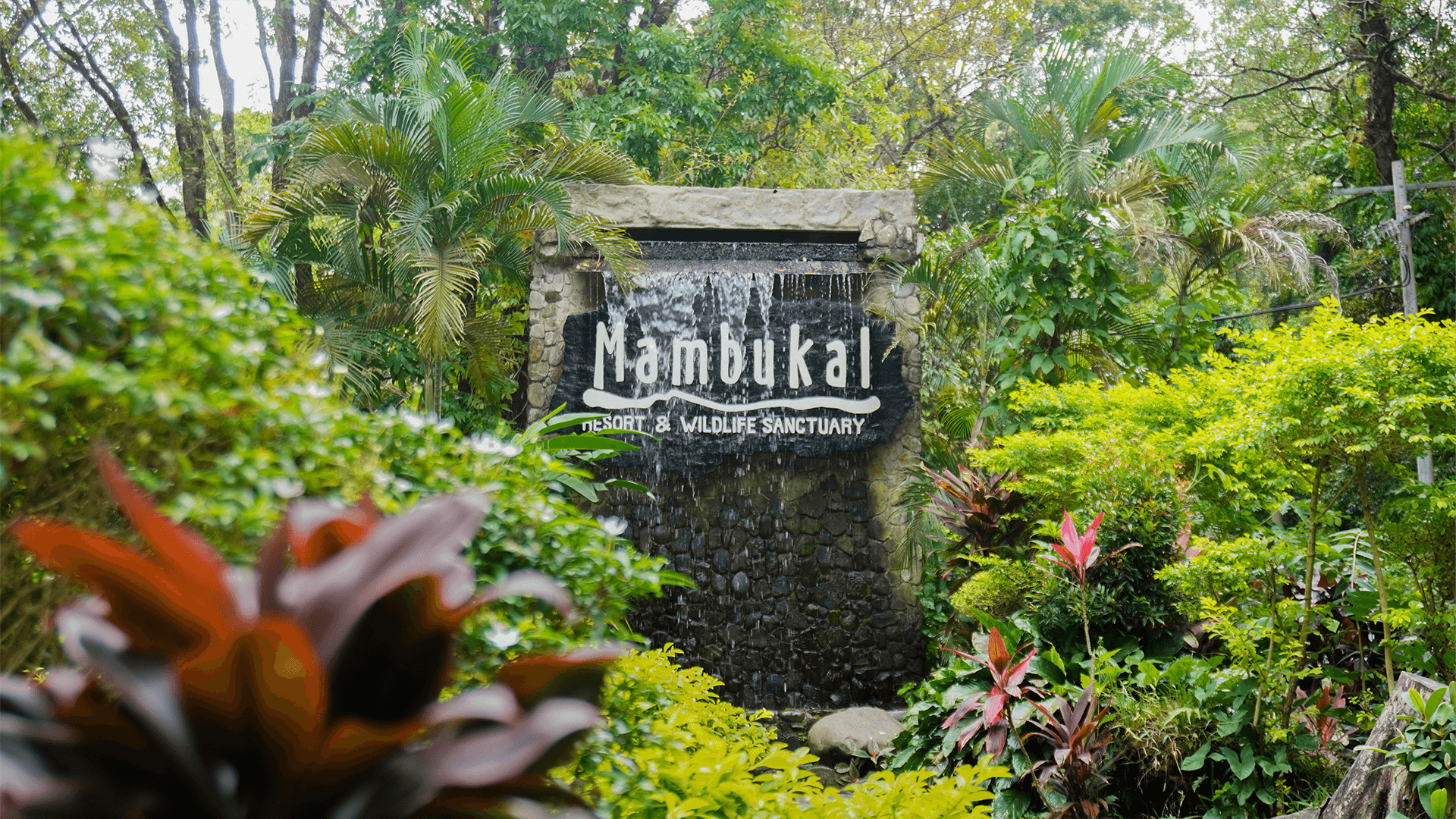 Mambukal Eco-Tourism